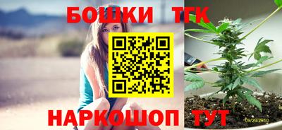 гашик Шебекино