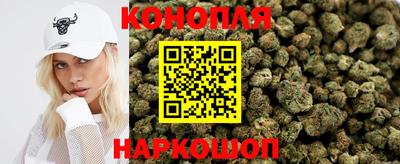 гашик Шебекино