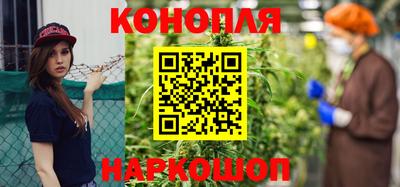 гашик Шебекино