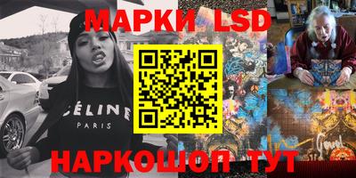 гашик Шебекино