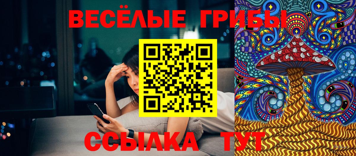Псилоцибиновые грибы GOLDEN TEACHER Видное