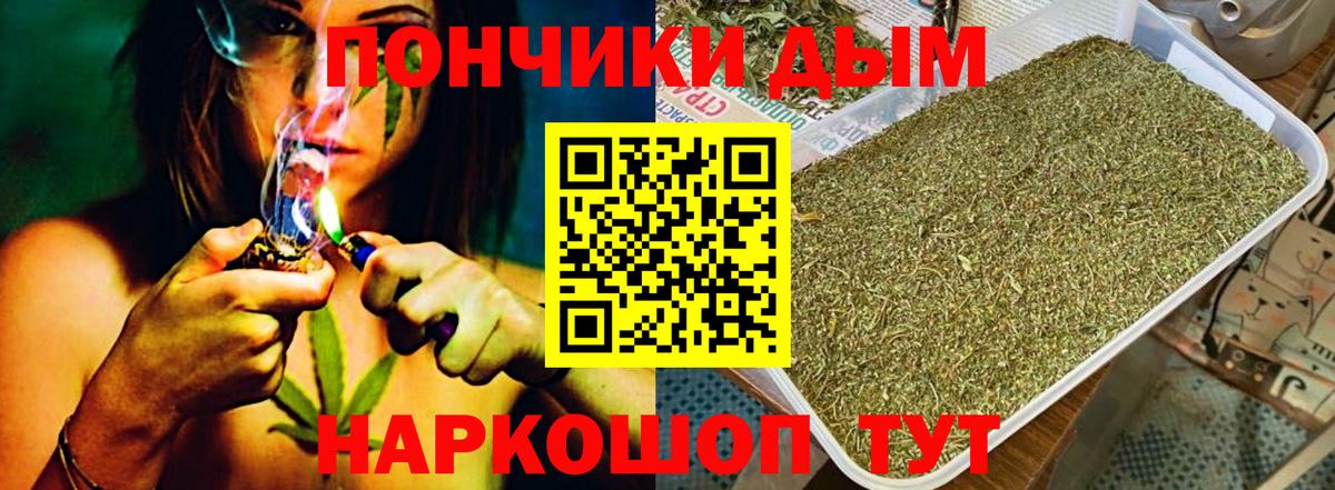 Каннабис индика Видное